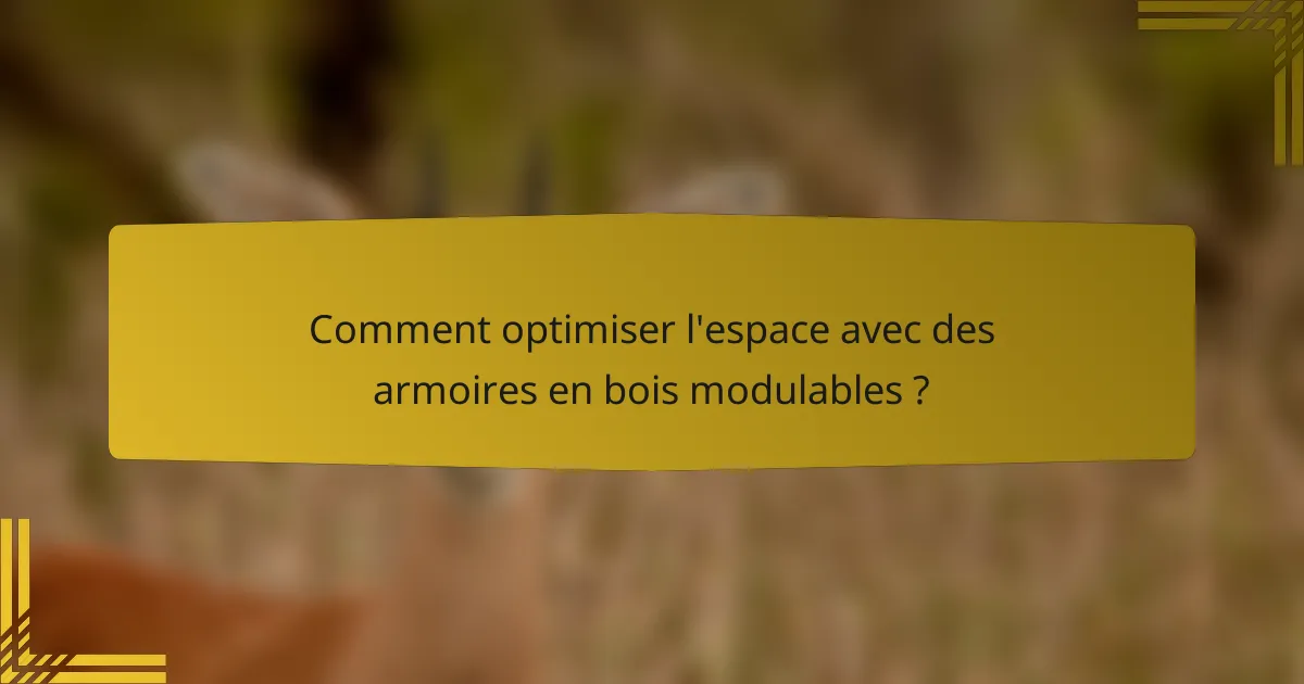 Comment optimiser l'espace avec des armoires en bois modulables ?
