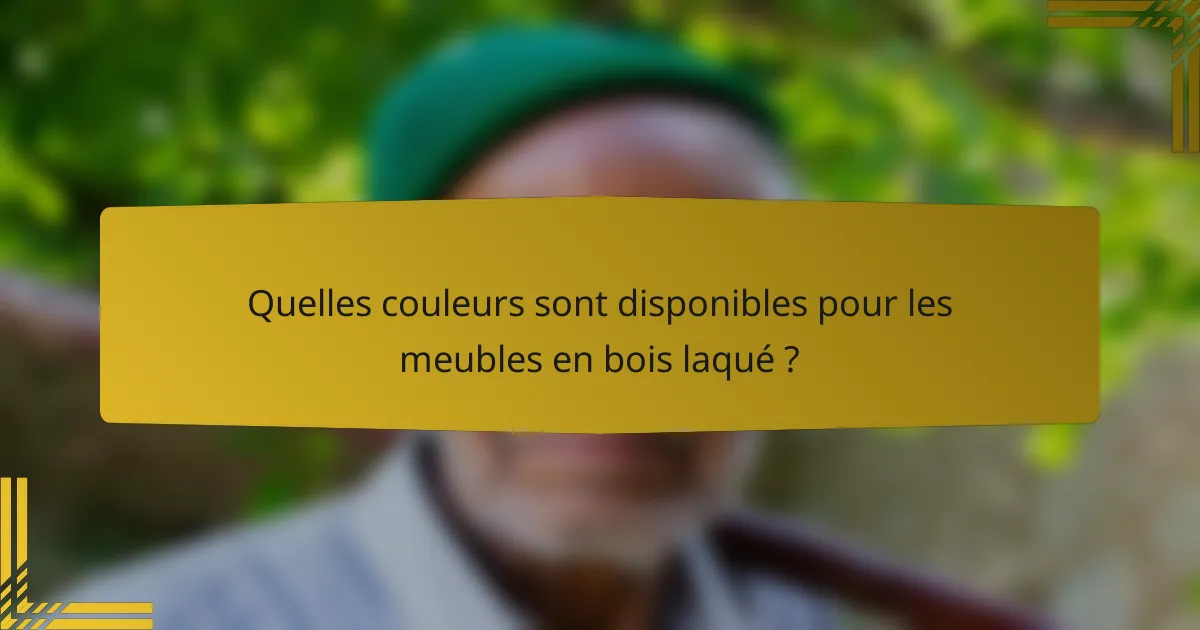 Quelles couleurs sont disponibles pour les meubles en bois laqué ?