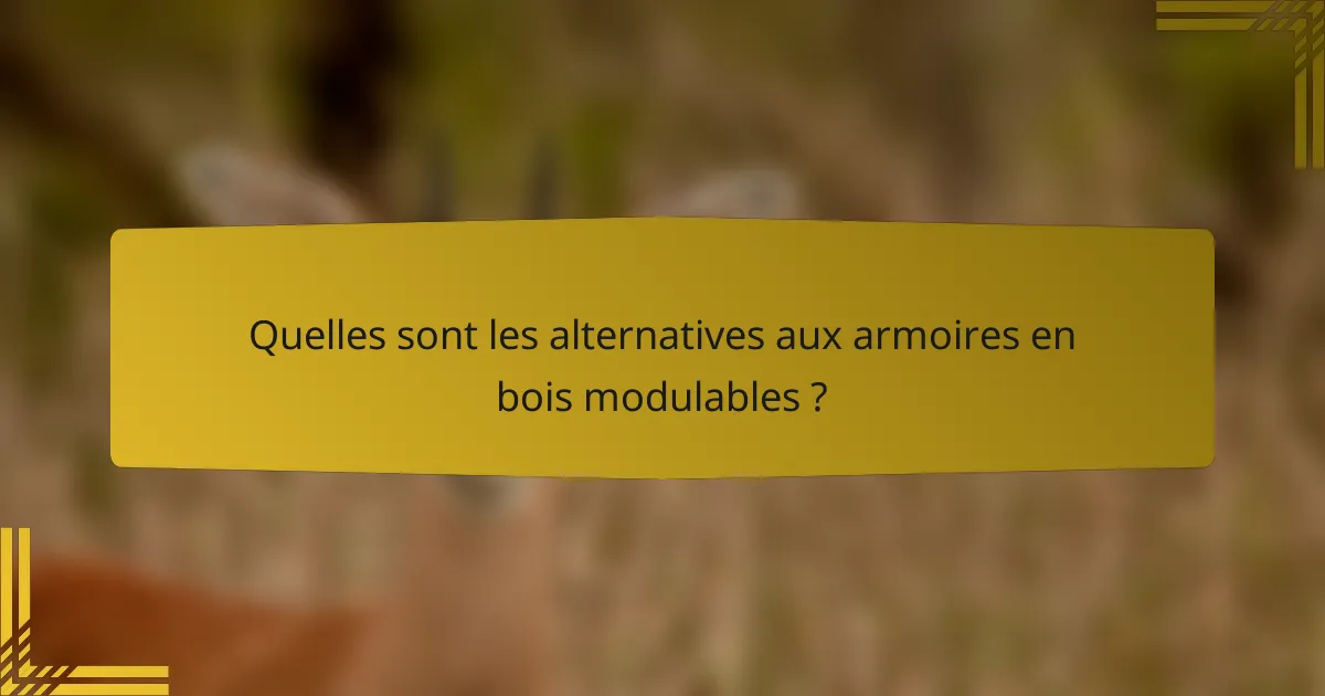 Quelles sont les alternatives aux armoires en bois modulables ?