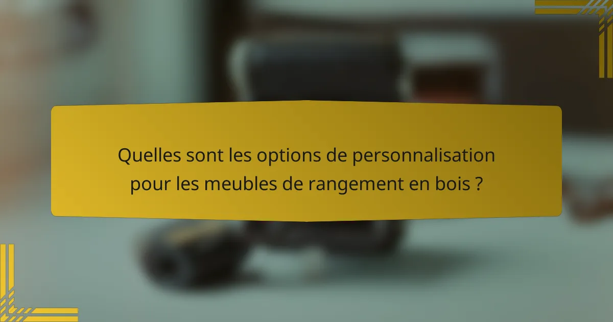 Quelles sont les options de personnalisation pour les meubles de rangement en bois ?