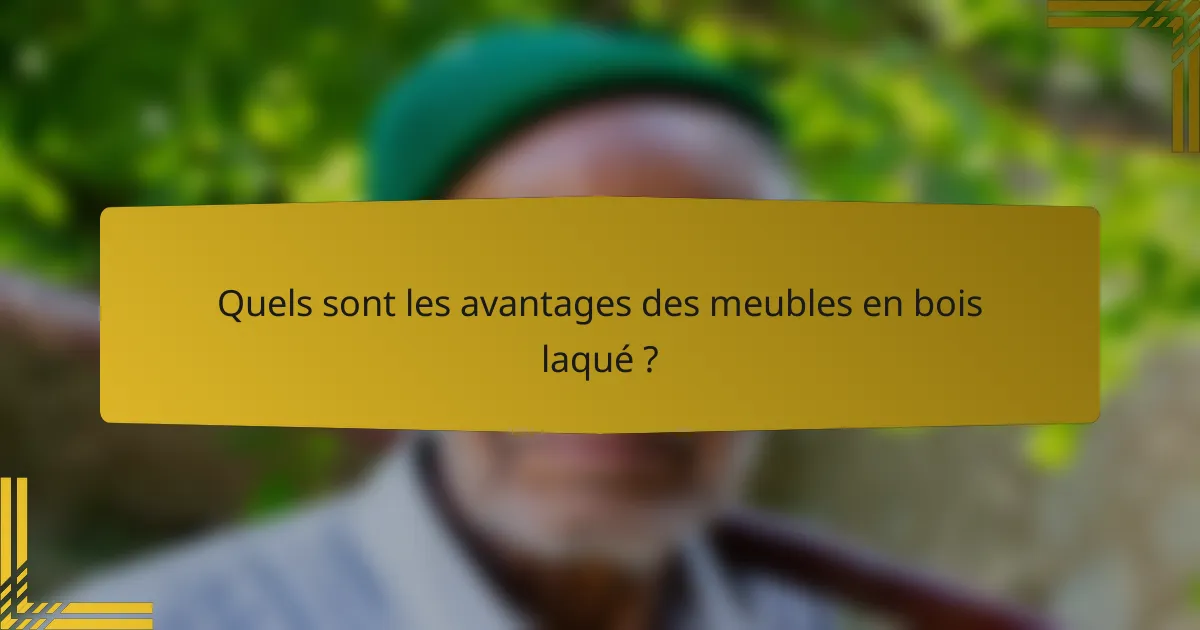 Quels sont les avantages des meubles en bois laqué ?