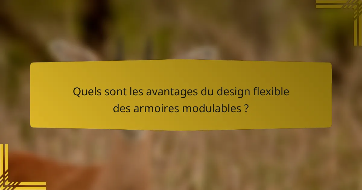Quels sont les avantages du design flexible des armoires modulables ?