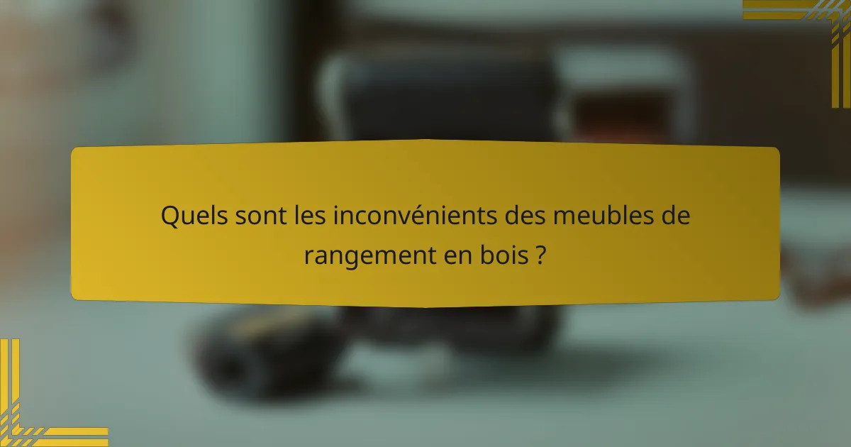Quels sont les inconvénients des meubles de rangement en bois ?